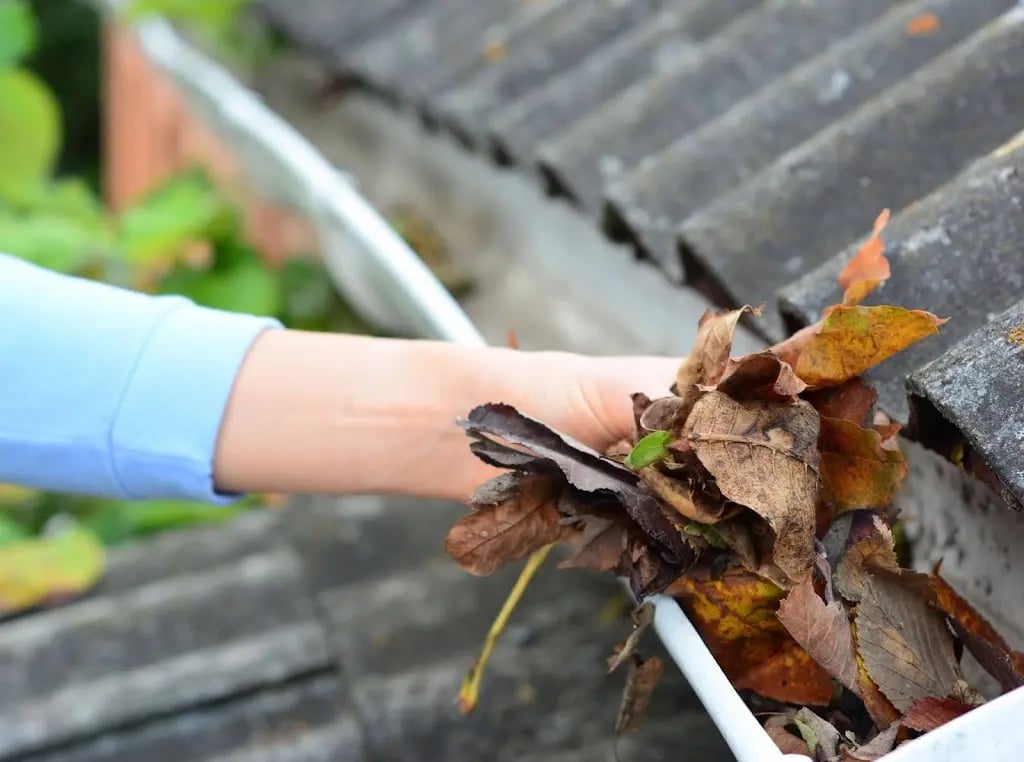 The Top Home Maintenance Tips for the Fall Season