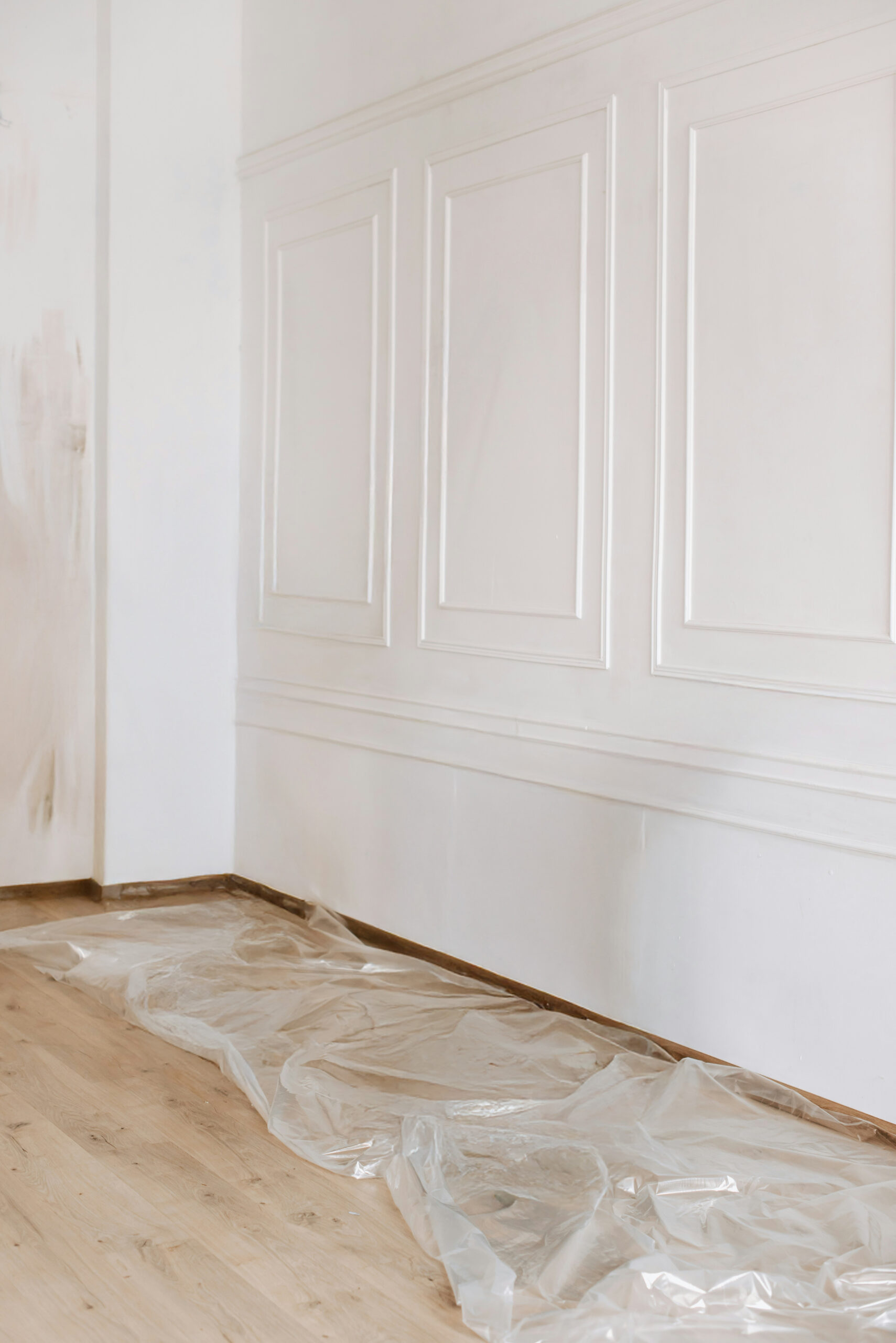 Interior wall with decorative white wainscoting and molding